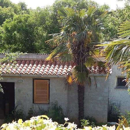 Tomato Apartment Pula
